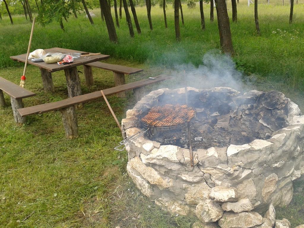 Vadaspuszta Vendeghaz Csatka 외부 사진